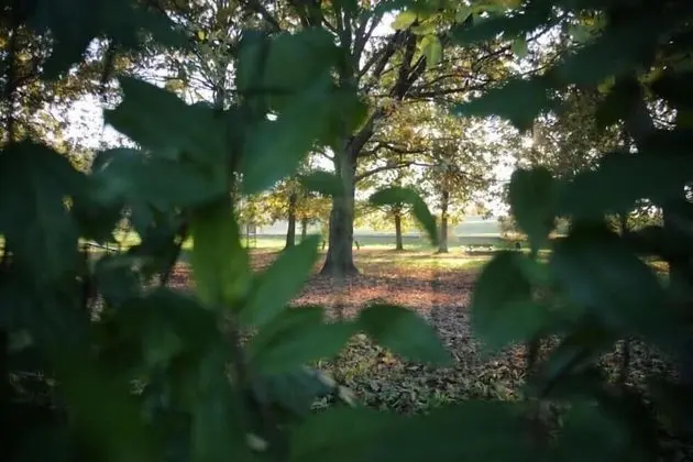 Oda, 1 Yatak Odası, Engellilere Uygun, Veranda