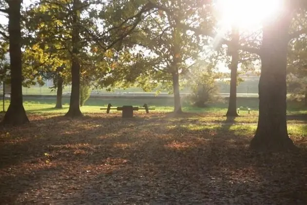 Oda, 1 Yatak Odası, Engellilere Uygun, Veranda