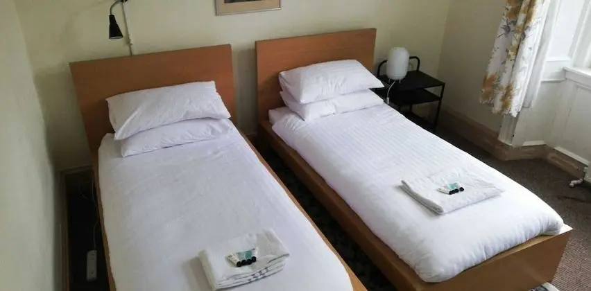 Deluxe İki Ayrı Yataklı Oda, Banyolu/Duşlu