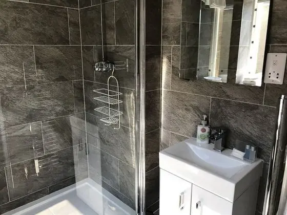 Superior Tek Büyük Yataklı Oda, Banyolu/Duşlu (superior double)