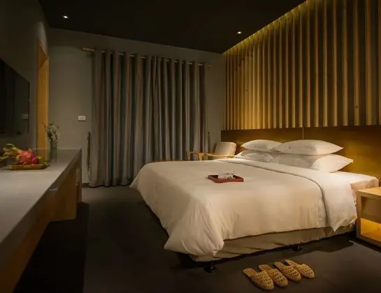 Deluxe Tek Büyük veya İki Ayrı Yataklı Oda (Spa and Onsen Package)