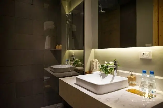 Deluxe Tek Büyük veya İki Ayrı Yataklı Oda (Spa and Onsen Package)