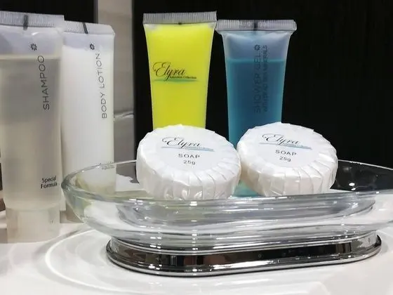 Deluxe Süit, 1 En Büyük (King) Boy Yatak ve Çekyat