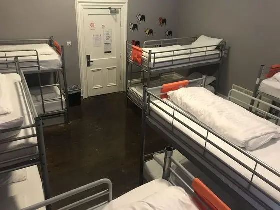 Oda, Ortak Banyo (Bed in Bunkbed - Mixed Dorm)