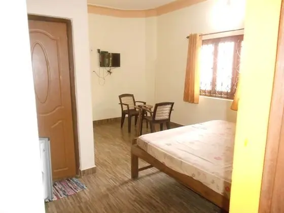 Deluxe Tek Büyük Yataklı Oda (NON AC)