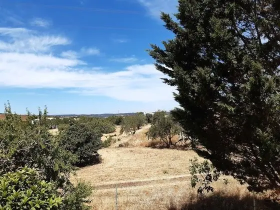 Tek Büyük Yataklı Oda, Bahçe Manzaralı (306)