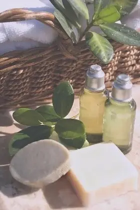 Tek Büyük Yataklı Oda, Bahçe Manzaralı (306)