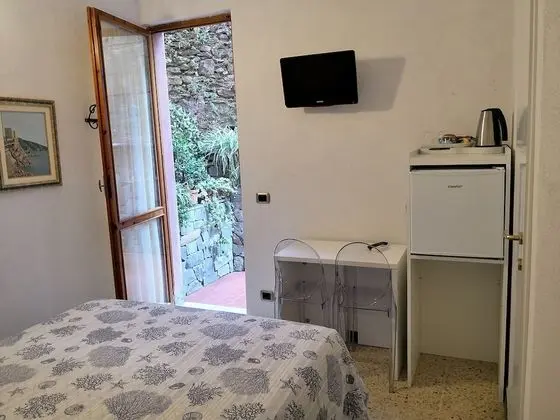 Basic Büyük Yataklı Tek Kişilik Oda, 1 Büyük (Queen) Boy Yatak