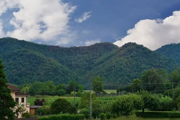 Classic Tek Büyük veya İki Ayrı Yataklı Oda