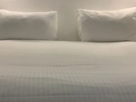 Basic Tek Büyük Yataklı Oda