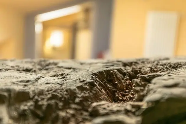 Panoramic Üç Kişilik Oda, Göl Manzaralı