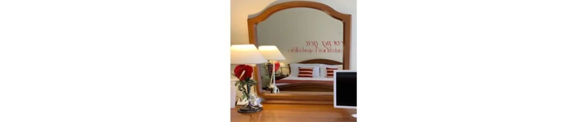 Superior Tek Büyük Yataklı Oda, Sigara İçilmez