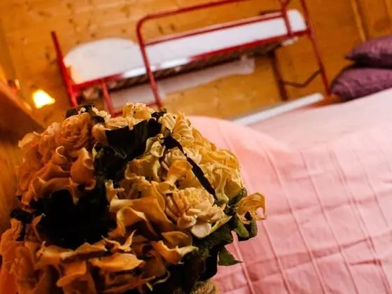 Standard Dört Kişilik Oda, Bahçe Manzaralı
