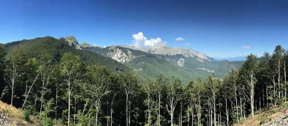 Standard Üç Kişilik Oda, Dağ Manzaralı