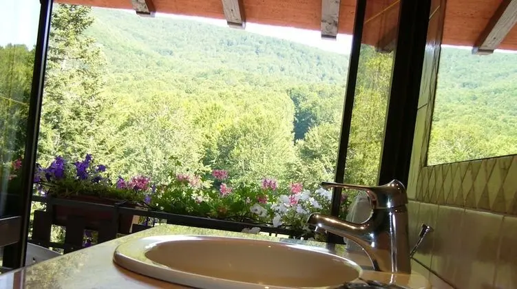 Tek Büyük Yataklı Oda, Balkon, Dağ Manzaralı (free relaxing area, Panoramic)
