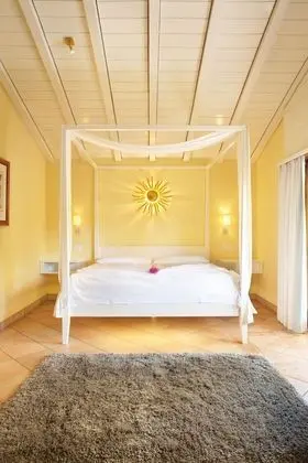 Superior Tek Büyük veya İki Ayrı Yataklı Oda, Balkon, Bahçe Manzaralı