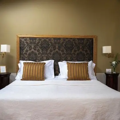 Superior Tek Büyük Yataklı Oda