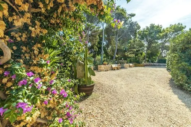 Apart Daire, 1 Yatak Odası, Küçük Mutfak