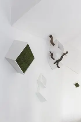Basic İki Ayrı Yataklı Oda, Özel Banyo, Şehir Manzaralı