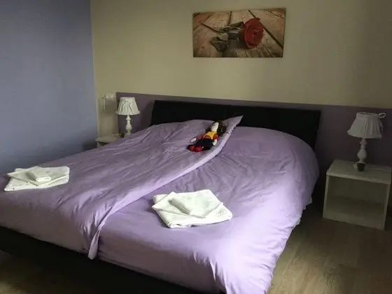 Deluxe Tek Büyük Yataklı Oda, 1 Büyük (Queen) Boy Yatak