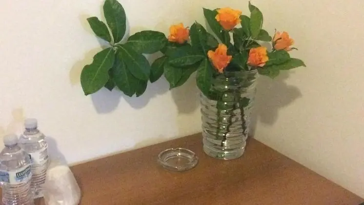 Tek Kişilik Oda, Sigara İçilmez, Ortak Banyo