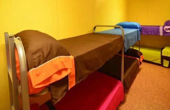 Ortak Ranzalı Oda, Karma Ranzalı Oda, Ortak Banyo (1 bed in 14-Bed Dormitory Room)