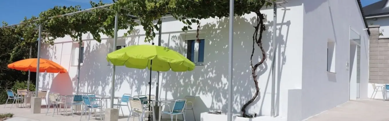 Ortak Ranzalı Oda, Karma Ranzalı Oda, Ortak Banyo (1 bed in 9-Bed Dormitory)