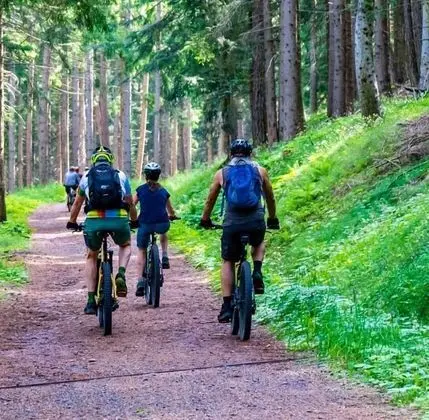 Traditional Ev, 5 Yatak Odası, Kişiye Özel Havuzlu (Alberguière)