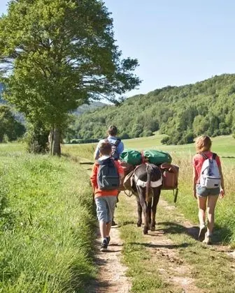 Traditional Ev, 5 Yatak Odası, Kişiye Özel Havuzlu (Alberguière)