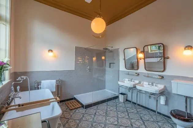 Deluxe Tek Büyük Yataklı Oda (Riverview)