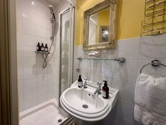 Tek Büyük Yataklı Oda, Banyolu/Duşlu (Beatrice Room)