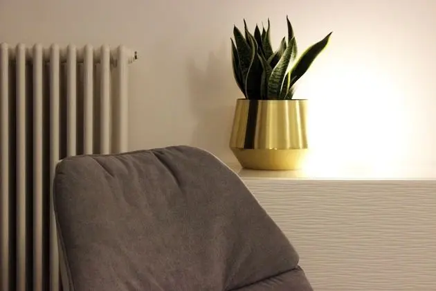 Deluxe Oda (Scirocco)