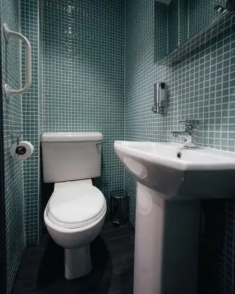 Standard Tek Büyük Yataklı Oda, Banyolu/Duşlu (The Rokxy )