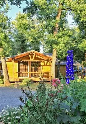 Dağ Evi (Tahoe)