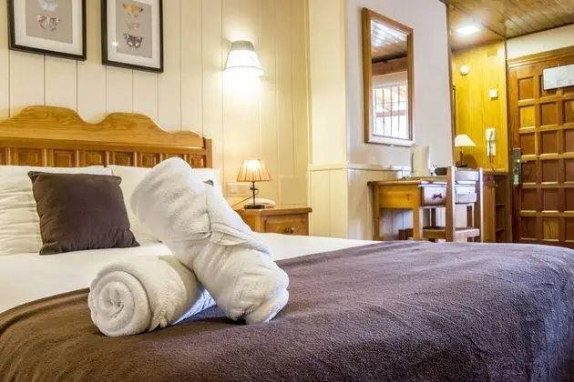 Basic Tek Büyük Yataklı Oda, Zemin Kat