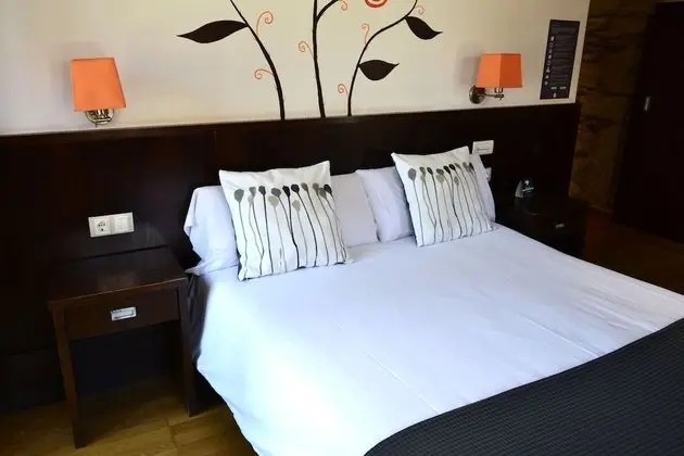 Premium Tek Büyük Yataklı Oda