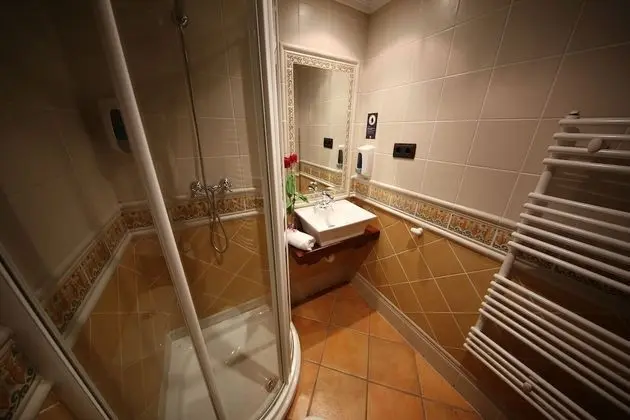 Superior Tek Büyük Yataklı Oda, 1 Çift Kişilik Yatak