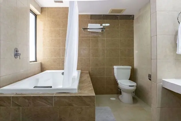 Panoramic Çatı Katı Süiti (Penthouse)