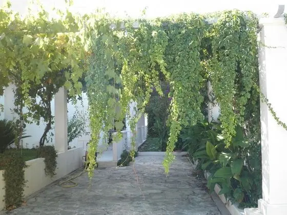Apart Daire (Aldica - 300 m from sea - A3(2+1))