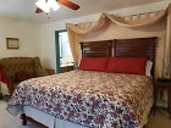 Superior Tek Büyük Yataklı Oda, Banyolu/Duşlu (Patton Room)