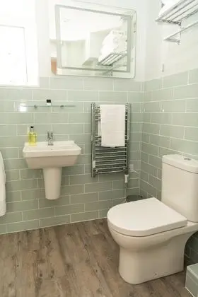 Standard Apart Daire, Özel Banyo (The Forge)