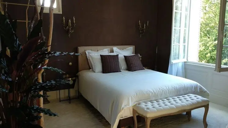 Deluxe Tek Büyük Yataklı Oda (Faune)