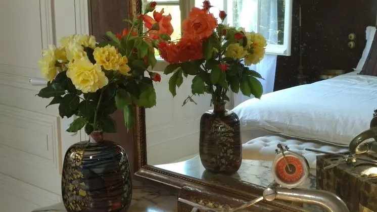 Deluxe Tek Büyük Yataklı Oda (Faune)