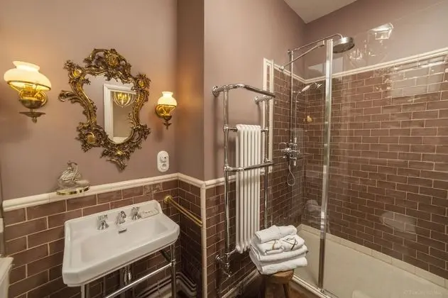 Deluxe Tek Büyük Yataklı Oda (Faune)