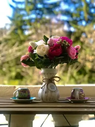 Deluxe Tek Büyük veya İki Ayrı Yataklı Oda, Balkon
