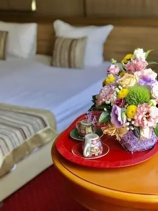 Deluxe Tek Büyük veya İki Ayrı Yataklı Oda, Balkon