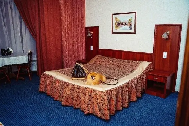 Deluxe Tek Büyük Yataklı Oda, Sauna