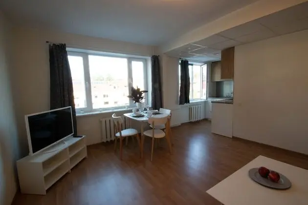 Apart Daire, 1 Yatak Odası