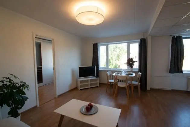 Apart Daire, 1 Yatak Odası