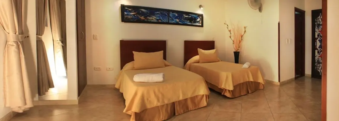 Superior Tek Büyük Yataklı Oda (Air conditioning)